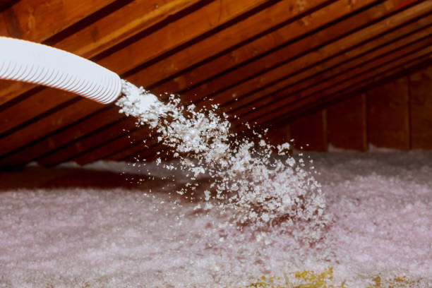 Best Fiberglass Insulation in Sangaree, SC