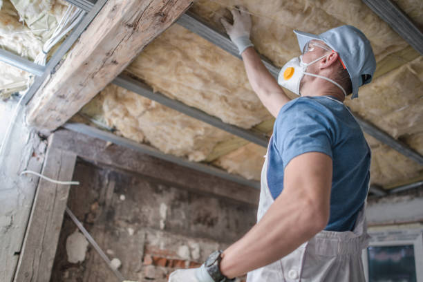 Types of Insulation We Offer in Sangaree, SC