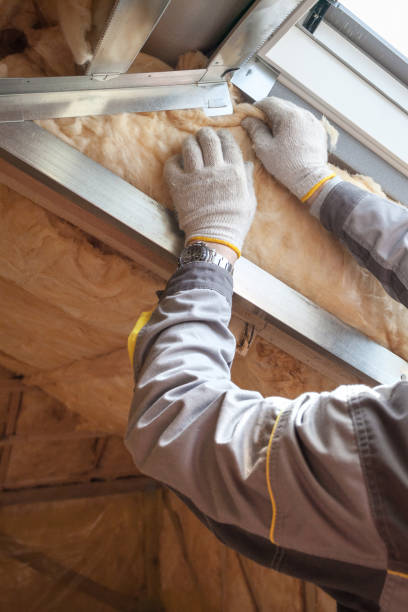 Best Cellulose Insulation in Sangaree, SC