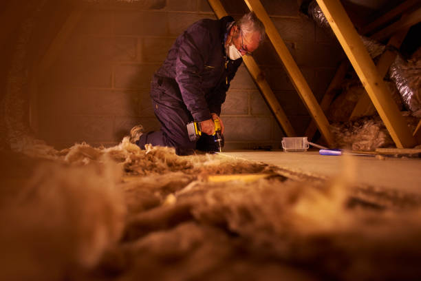 Best Insulation for Specific Applications in Sangaree, SC